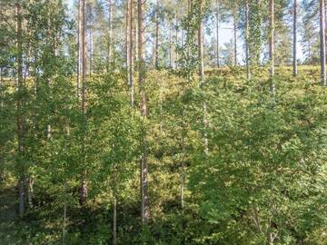 Фотографии Дома для отпуска Holiday Home Hiukanhelmi г. Соткамо (Финляндия) №2 Фото Дома для отпуска Holiday Home Hiukanhelmi г. Соткамо 2
