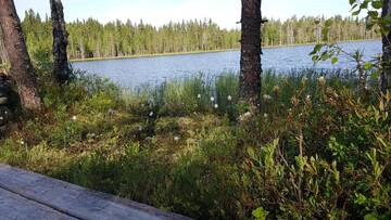 Фото номера Вилла Виллы Hiiden Kämppäkartano iso vuokramökki lähellä Tiilikan kansallispuistoa г. Соткамо 77